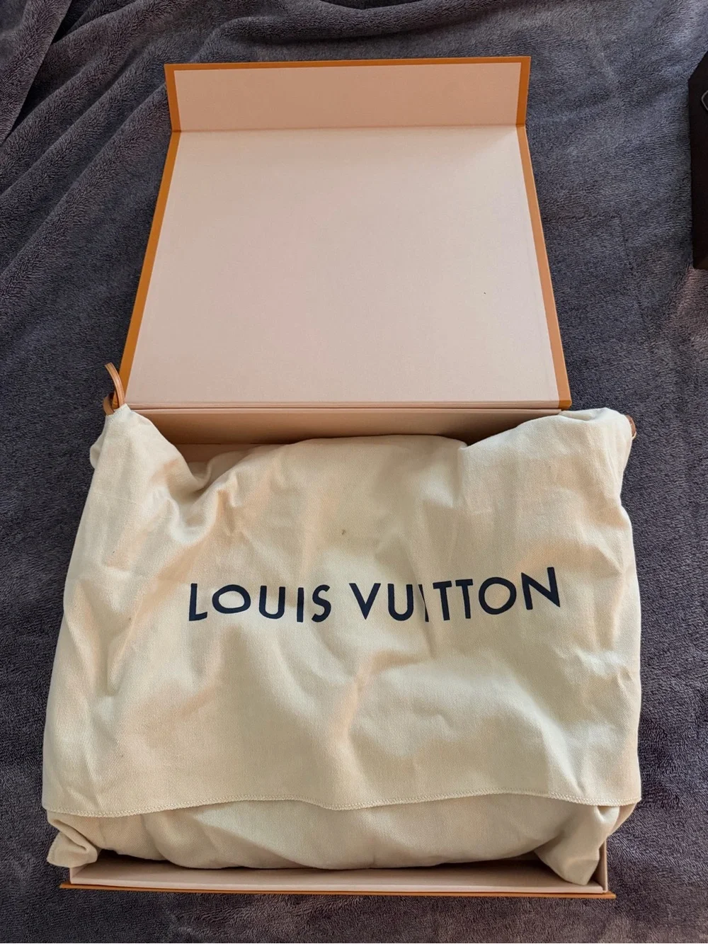 Louis Vuitton classic louis